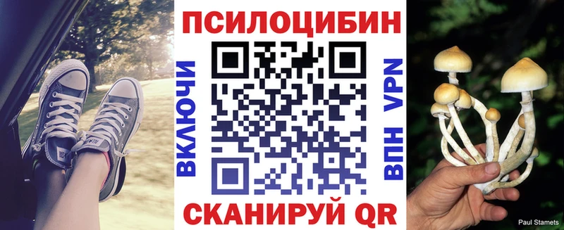 где можно купить   Ялта  Галлюциногенные грибы MAGIC MUSHROOMS 